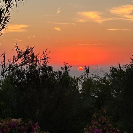 Villa Moma Giardino, Tennis E Piscina Panoramica Ischia Extérieur photo