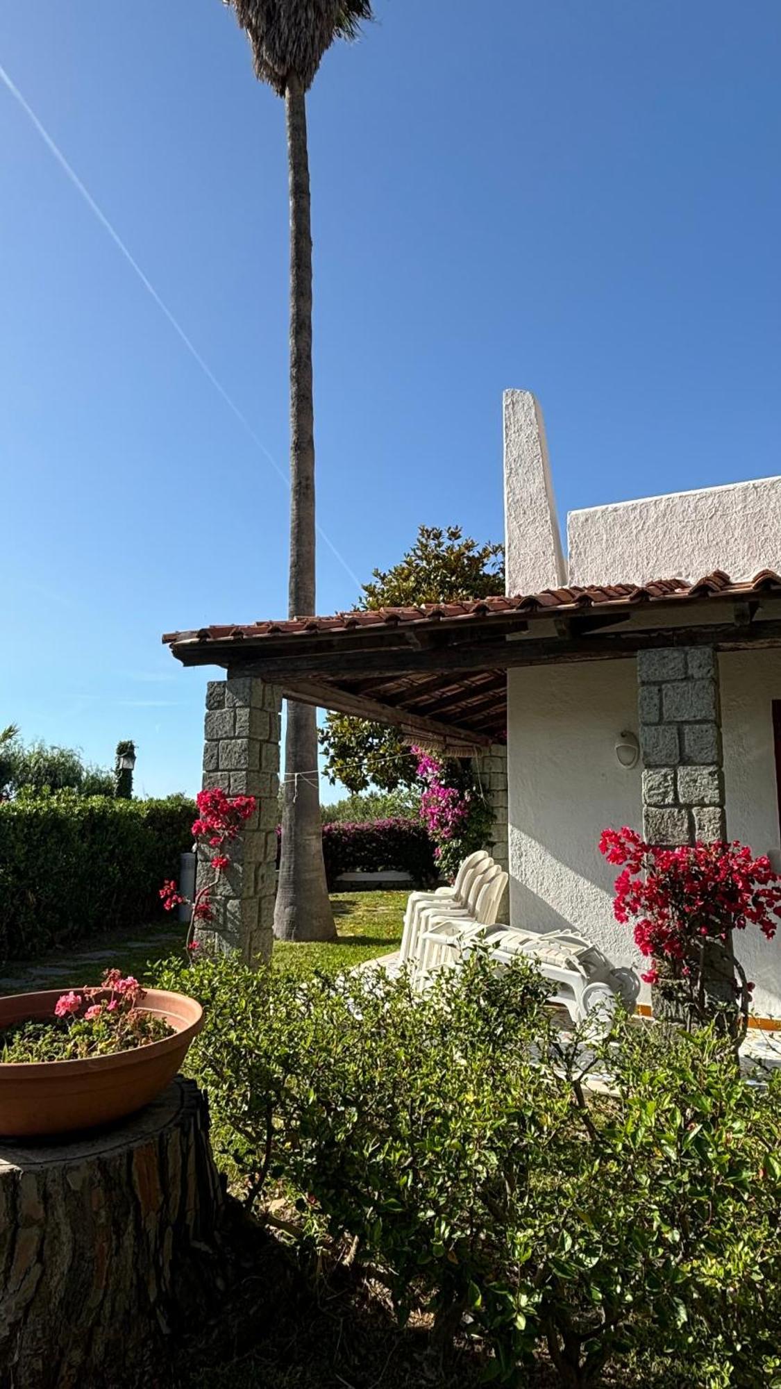 Villa Moma Giardino, Tennis E Piscina Panoramica Ischia Extérieur photo