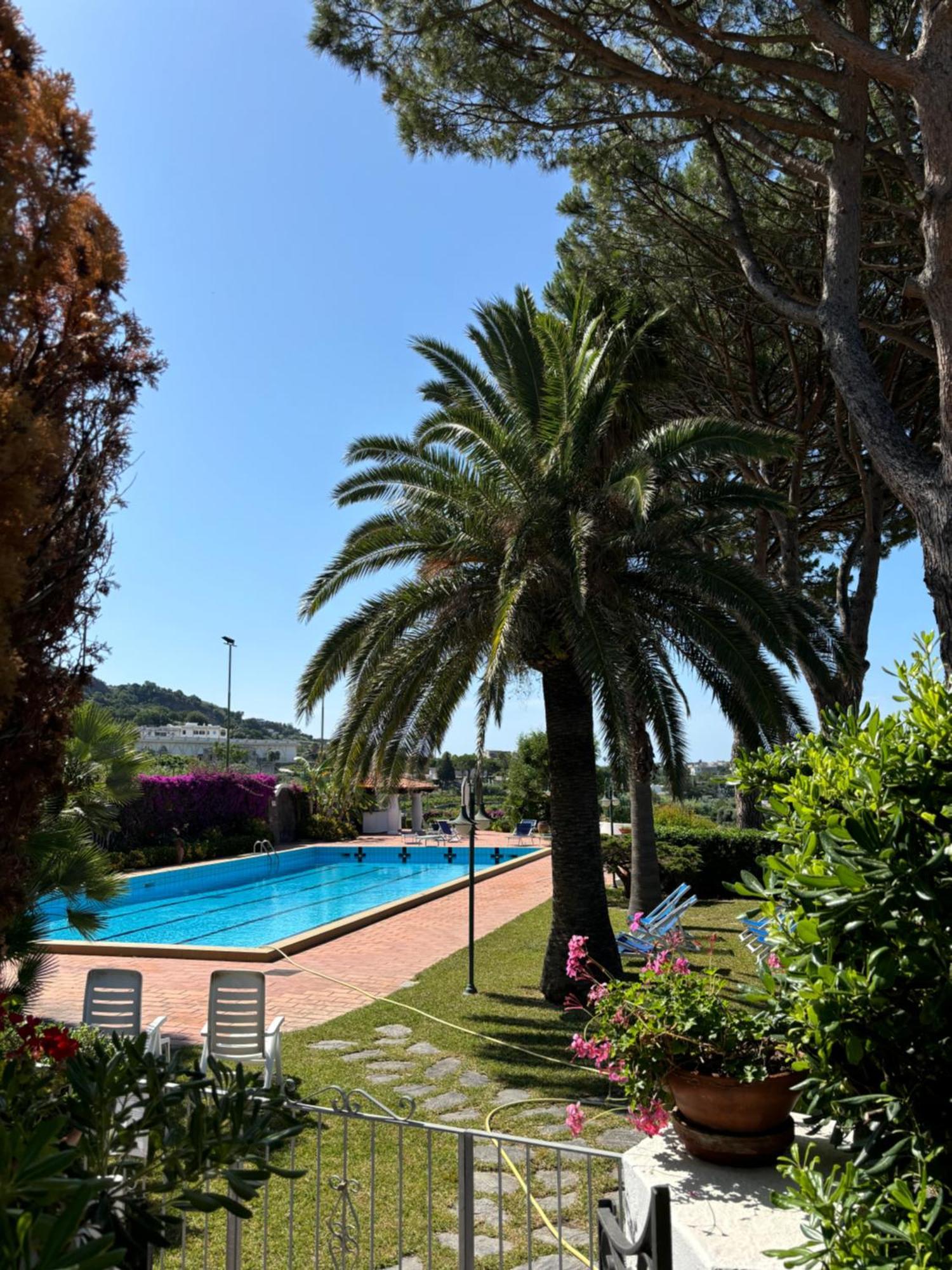 Villa Moma Giardino, Tennis E Piscina Panoramica Ischia Extérieur photo