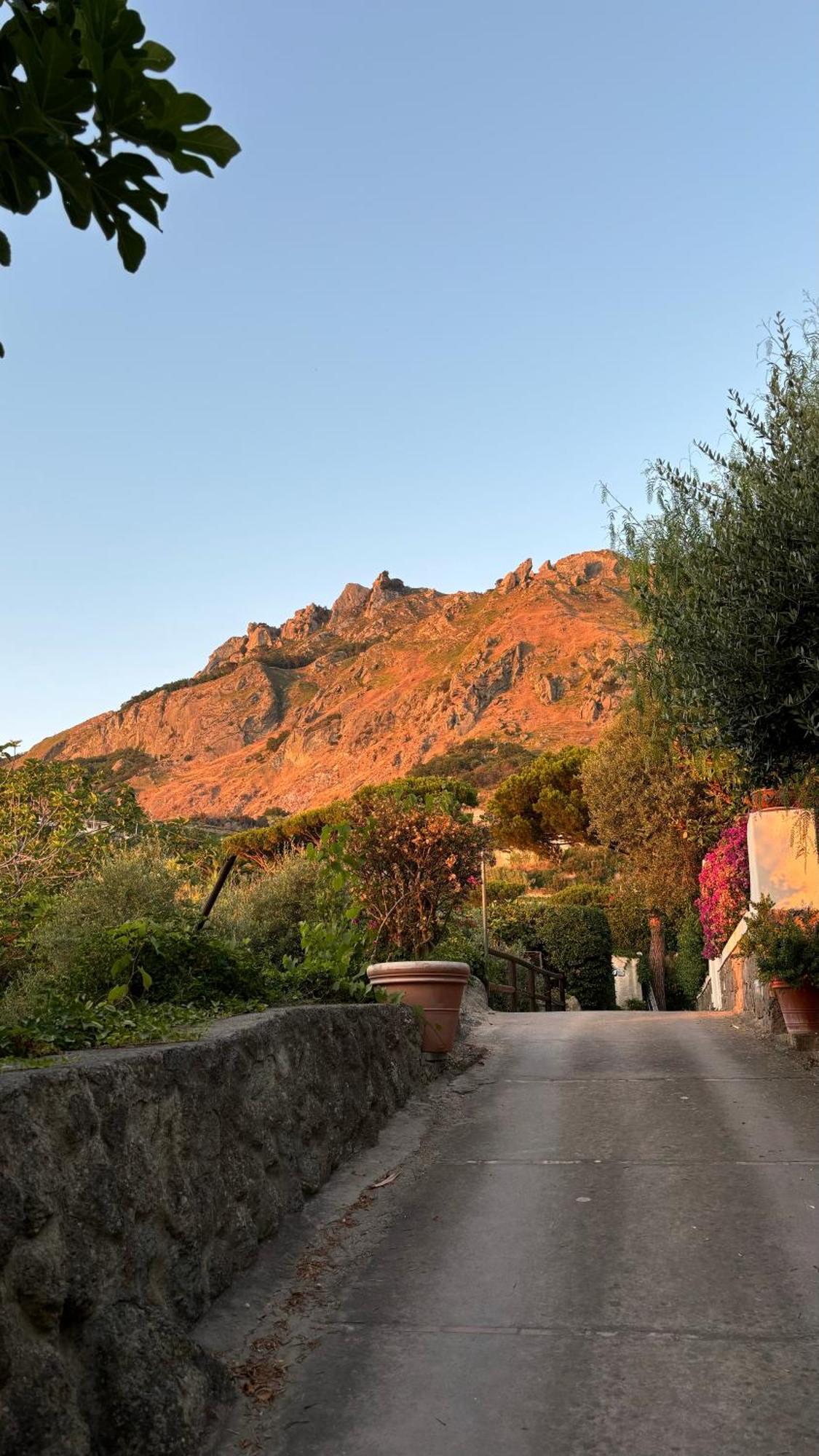 Villa Moma Giardino, Tennis E Piscina Panoramica Ischia Extérieur photo