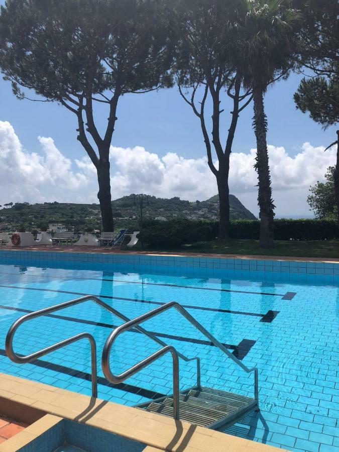 Villa Moma Giardino, Tennis E Piscina Panoramica Ischia Extérieur photo