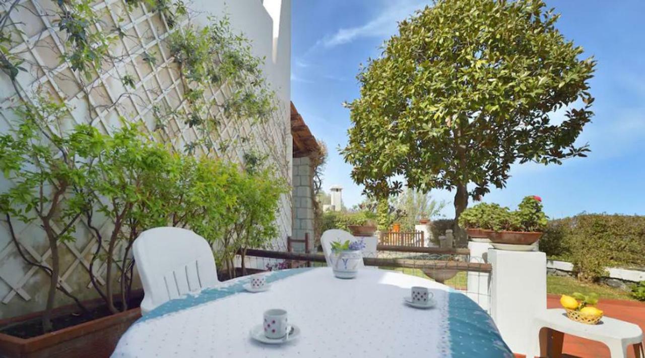Villa Moma Giardino, Tennis E Piscina Panoramica Ischia Extérieur photo