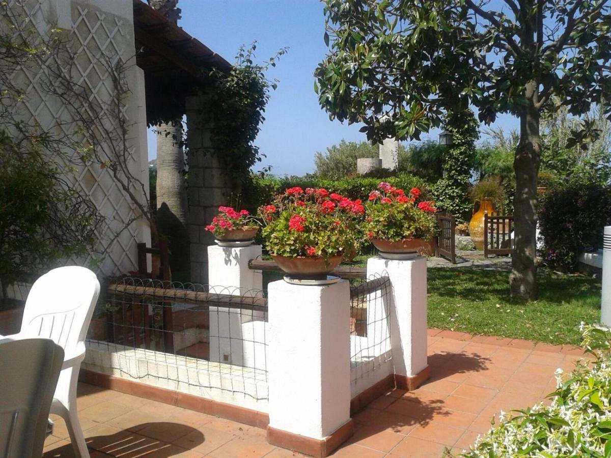 Villa Moma Giardino, Tennis E Piscina Panoramica Ischia Extérieur photo